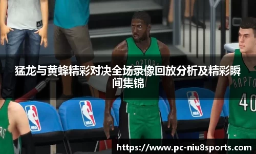猛龙与黄蜂精彩对决全场录像回放分析及精彩瞬间集锦
